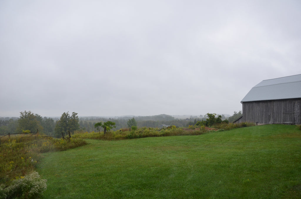 The Barn