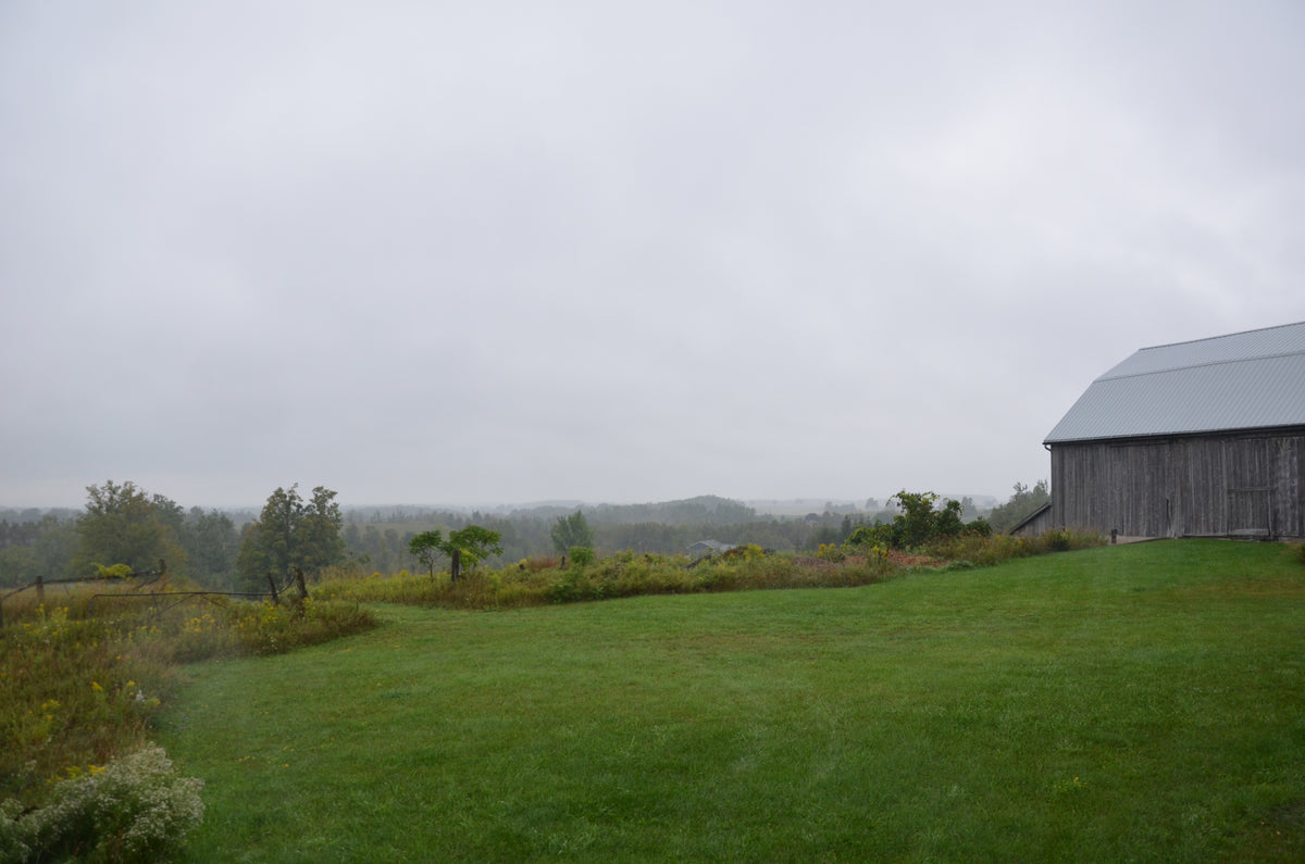 The Barn